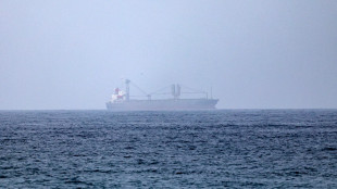 Petroliera degli Emirati Arabi attaccata nello Stretto di Hormuz