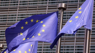 Ue, 'su prestito Safe rassicurazioni dall'Italia, si va nella giusta direzione'