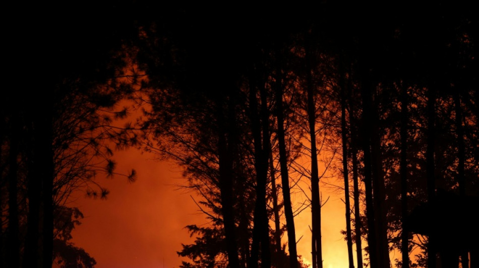 Latest developments: Europe battles wildfires