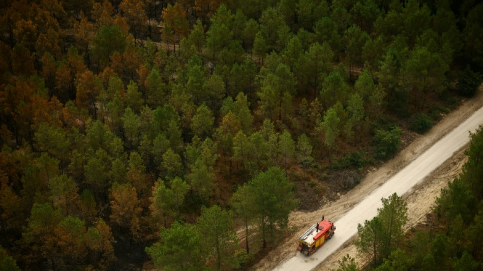 Incendie en Gironde: situation "stable" dimanche, le feu "n'&eacute;volue plus", selon la pr&eacute;fecture