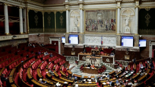 L'examen du budget reprend &agrave; l'Assembl&eacute;e, l'hypoth&egrave;se du retour du 49.3 progresse