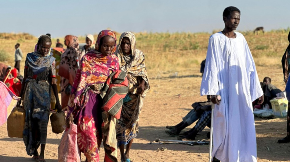 Violence in Sudan's El-Fasher could be war crimes, says top court