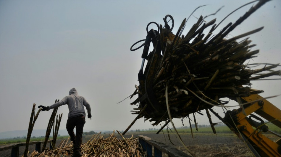 M&eacute;xico aumenta los aranceles a las importaciones de az&uacute;car