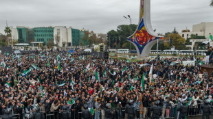 Syria's Sharaa vows to promote coexistence, one year after Assad's ousting