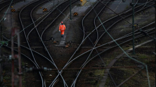 Bundesregierung r&auml;umt Kohle- und &Ouml;ltransporten Vorrang auf der Schiene ein