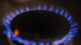 Gme, ancora in rialzo l'indice italiano del prezzo del gas