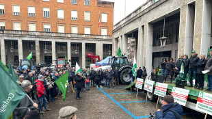 La filiera italiana del riso scende in piazza a Vercelli
