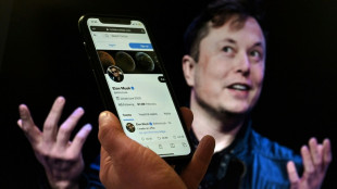 Elon Musk "sur la m&ecirc;me longueur d'onde" que l'UE pour la mod&eacute;ration des contenus