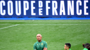 Coupe de France: une finale Nantes-Toulouse sous haute s&eacute;curit&eacute; 