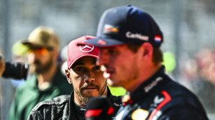 Verstappen rejects idea of Hamilton move to Red Bull