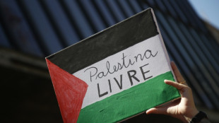 Brasil anuncia la liberaci&oacute;n de 13 brasile&ntilde;os de la flotilla por Gaza