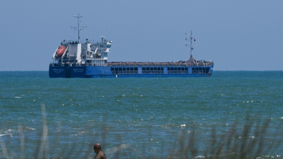 C&eacute;r&eacute;ales ukrainiennes: le cargo russe Zhibek Zholy en eaux russes