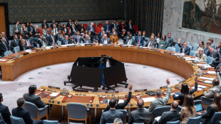 Il Consiglio di sicurezza Onu vota a breve una bozza sullo Stretto di Hormuz