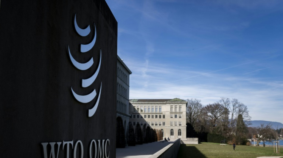 WTO hikes 2026 trade growth forecast on AI boom