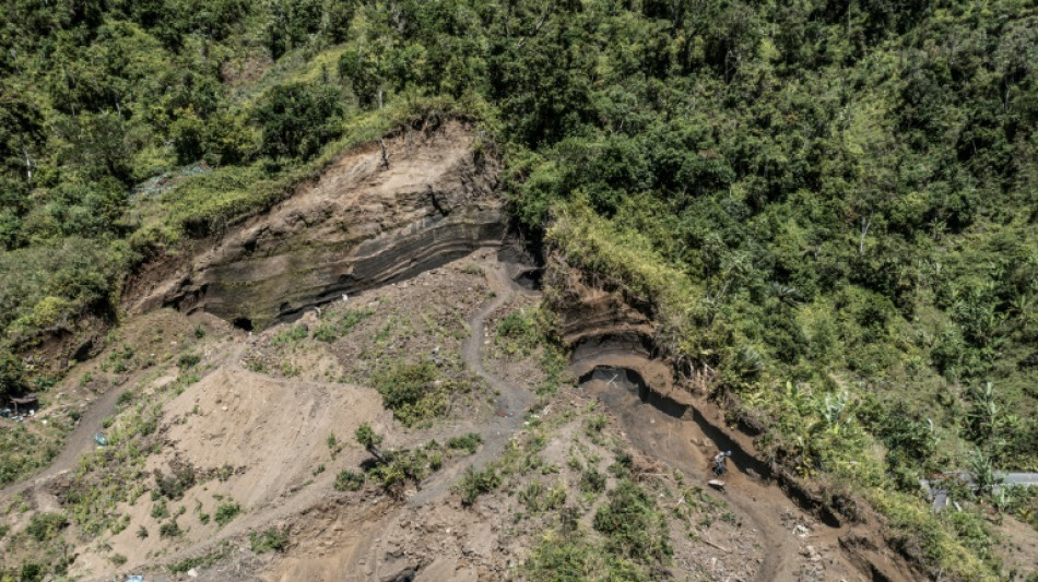A Anjouan, aux Comores, un sursaut pour sauver la forêt en perdition
