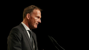 "Totaler Bullshit": BVB dementiert Bericht &uuml;ber Krisensitzung 