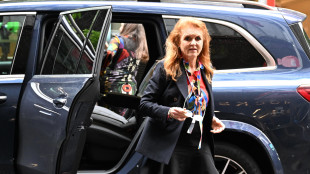 Media, Sarah Ferguson torna nel Regno Unito dopo lo scandalo Epstein