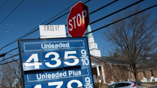 Flamb&eacute;e du brut : Washington puise dans ses r&eacute;serves et Biden s'en prend aux industriels