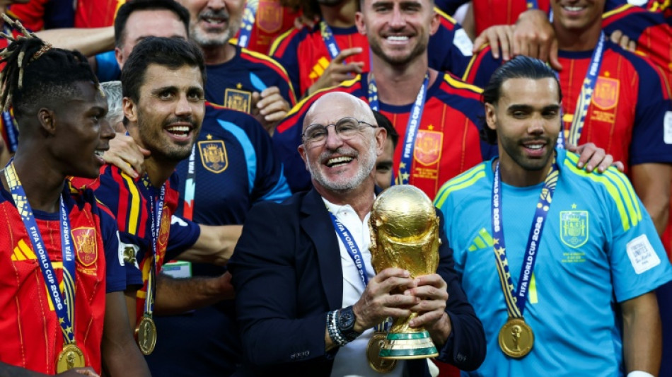 Spain coach De la Fuente gets new deal after World Cup success