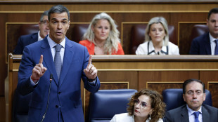 Sánchez, 'Madrid non dovrà aumentare spese militari al 5%'