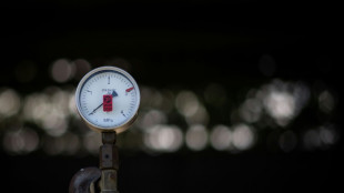 Suspension des livraisons de gaz russe au Danemark &agrave; partir du 1er juin (groupe &eacute;nerg&eacute;tique danois)