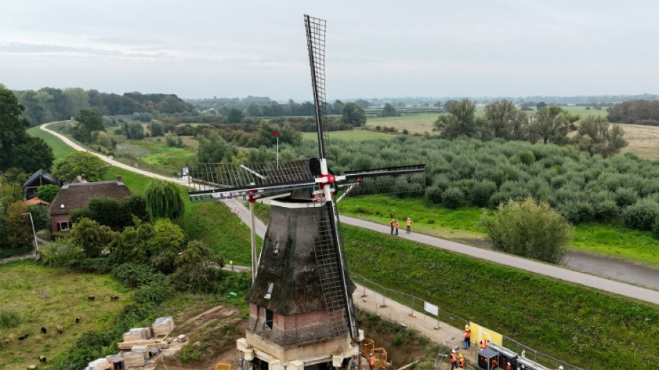 Windmills of change: Dutch raise mill in rare operation