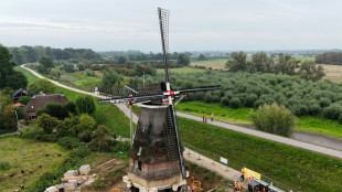 Windmills of change: Dutch raise mill in rare operation