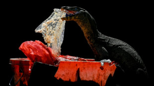 &iquest;Cu&aacute;ntos micropl&aacute;sticos hay en el cuerpo? Los investigadores quieren zanjar el debate