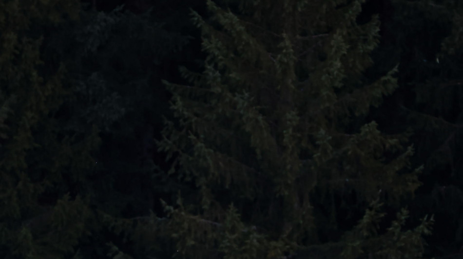 Sci: la Cdm sulla Streif di Kitzbuehel, Franzoni 'gara veloce adatta a me'