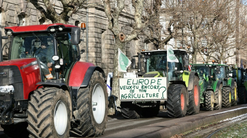 Milhares de agricultores europeus protestam contra o acordo UE-Mercosul