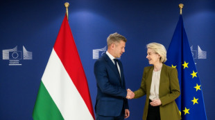 Hungary's Magyar pushes to unblock EU billions in Brussels