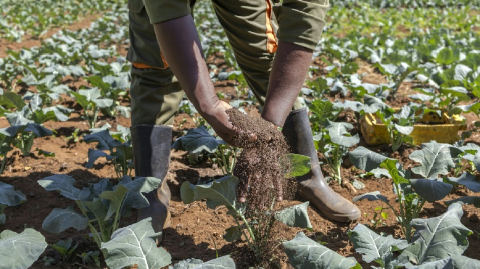 L'&eacute;tat des sols dans le monde se d&eacute;grade et les solutions restent ignor&eacute;es, selon un rapport de l'Onu