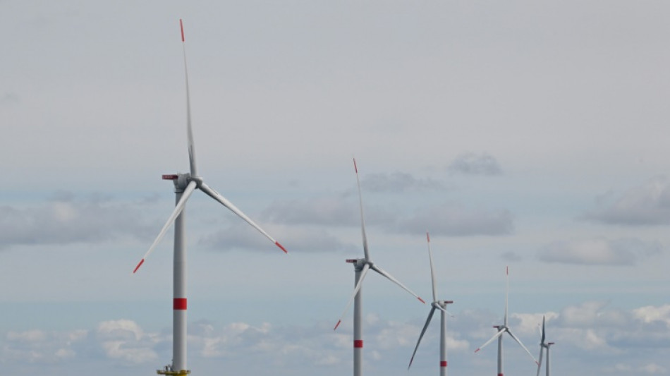 Feu vert environnemental pour la cr&eacute;ation d'un parc &eacute;olien en mer pr&egrave;s de Dunkerque