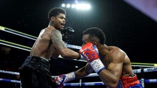 Stevenson labors to WBC lightweight crown 