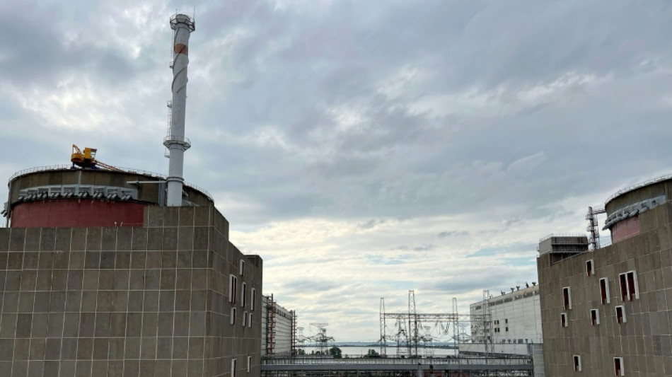 L'Ukraine annonce l'arr&ecirc;t du dernier r&eacute;acteur en activit&eacute; &agrave; la centrale nucl&eacute;aire de Zaporijjia 