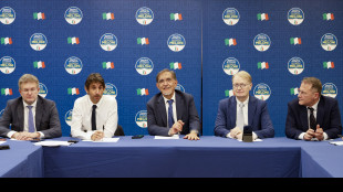 Fdi, pronti a discutere dei mandati su richiesta delle Regioni