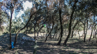 En France, un cimetière d'enfants harkis oublié depuis 42 ans ressurgit du passé