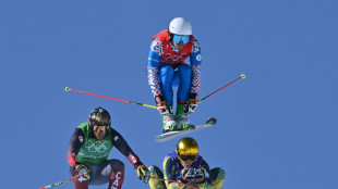 Skicross: Deutsche M&auml;nner ohne Medaille