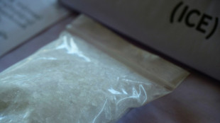 Dos mexicanos detenidos en el desmantelamiento de un laboratorio de drogas en Sud&aacute;frica