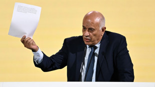 FIFA-Council entscheidet &uuml;ber Pal&auml;stina-Antrag gegen Israel