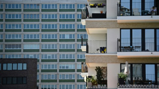Ifo: Großstadtmieten bei Neuverträgen seit 2013 um rund 75 Prozent gestiegen