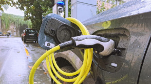 Bce, domanda di auto andr&agrave; a rilento, pesa il clima d'incertezza