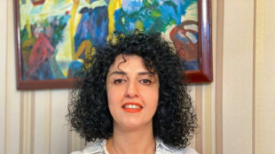 Nobel da Paz iraniana Narges Mohammadi liberada sob fian&ccedil;a para receber tratamento m&eacute;dico