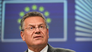 EU-Handelskommissar: Aufschub chinesischer Exportkontrollen gilt auch f&uuml;r EU