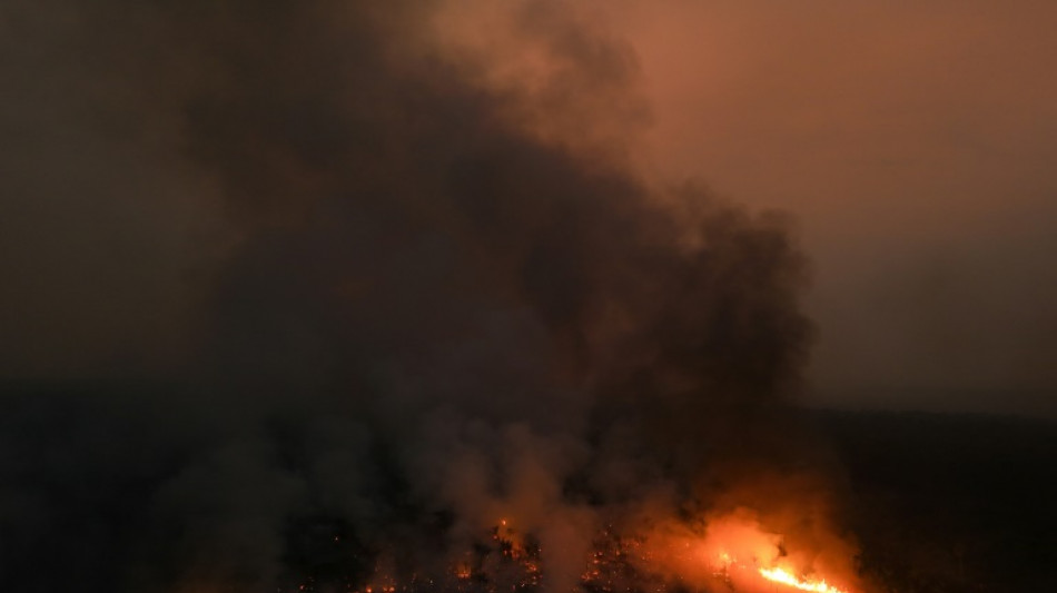 Brésil: la surface brûlée en Amazonie en 2024 deux fois supérieure à la moyenne historique