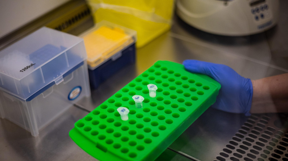 L'Ue invia all'Oms test Pcr sull'Ebola per 2,1 milioni di euro