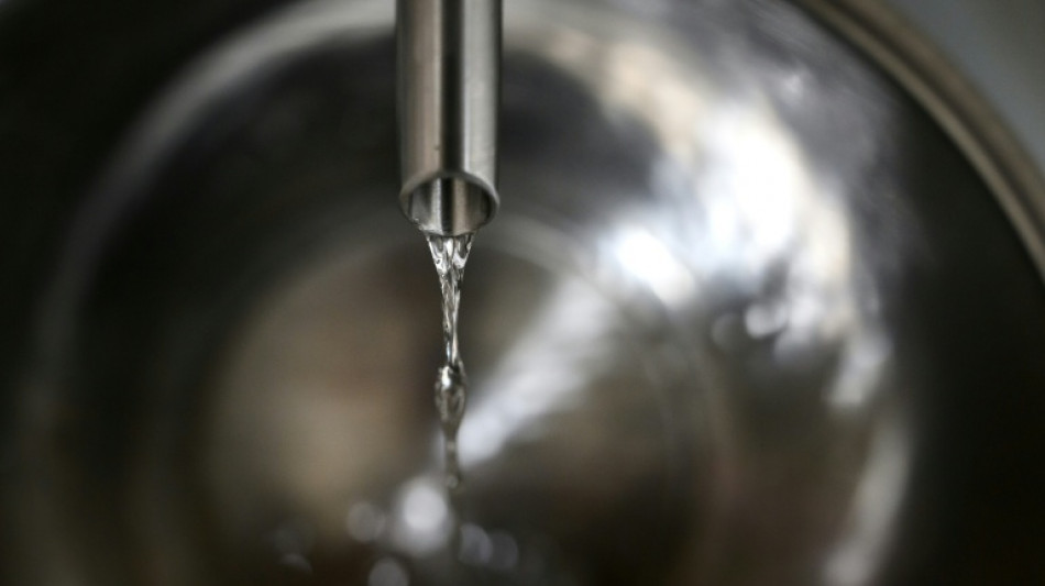 Europäischer Gerichtshof: Alkoholfreies Getränk darf nicht als Gin verkauft werden