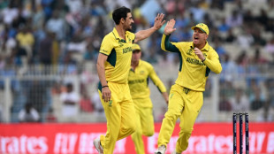 Rain rescues slumping South Africa in World Cup semi-final