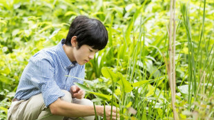 Japan prince comes of age as succession crisis looms