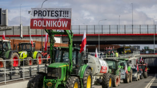 Agriculture: les 27 divis&eacute;s sur les restrictions &agrave; imposer &agrave; l'Ukraine